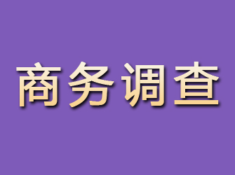 集美商务调查